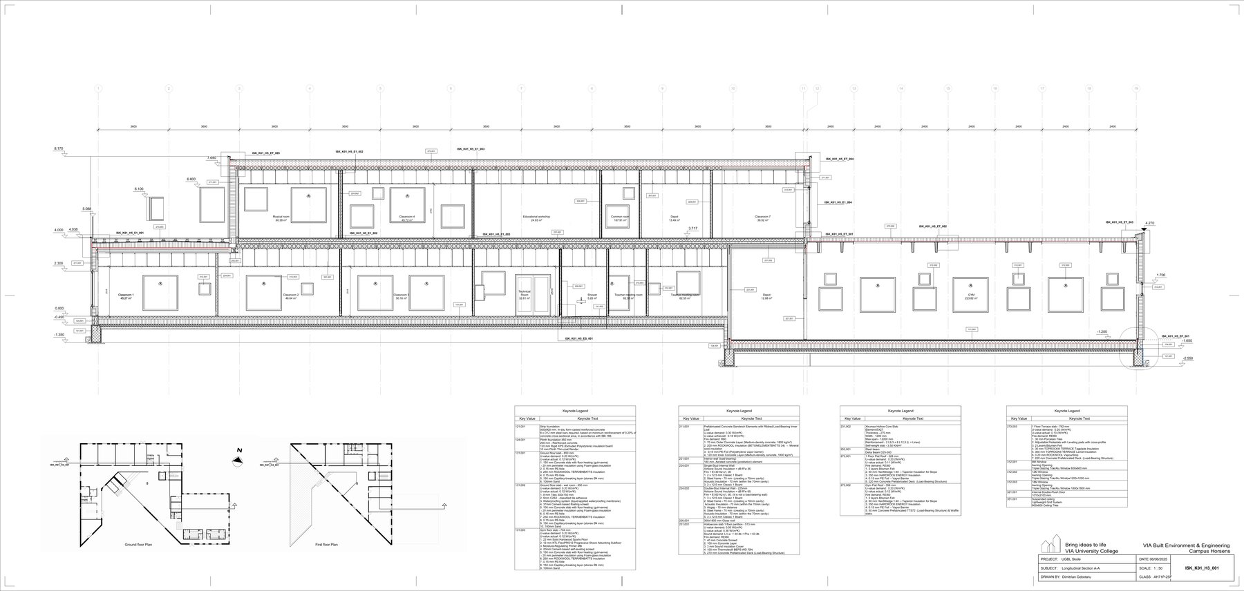 Longitudinal Section